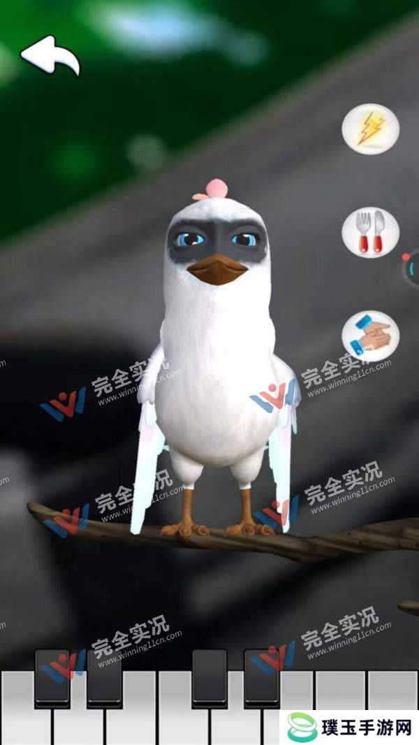 会说话的鸟
