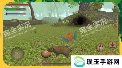老鼠生存模拟手机版